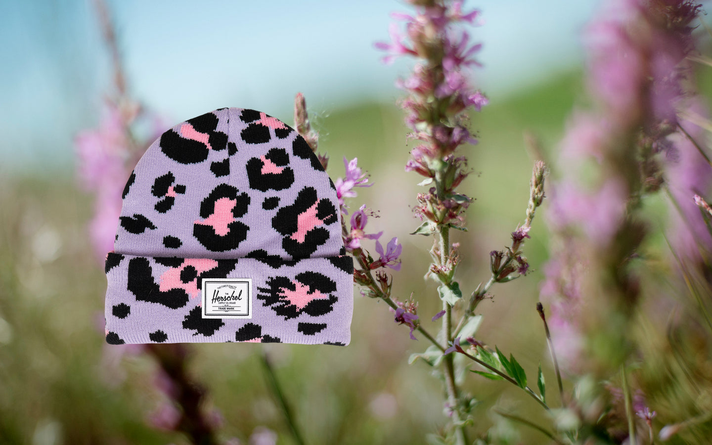 Herschel Supply Co. Elmer Kids Graphic Beanie in Scribble Leopard Sachet Pink, shown flat against a neutral background.