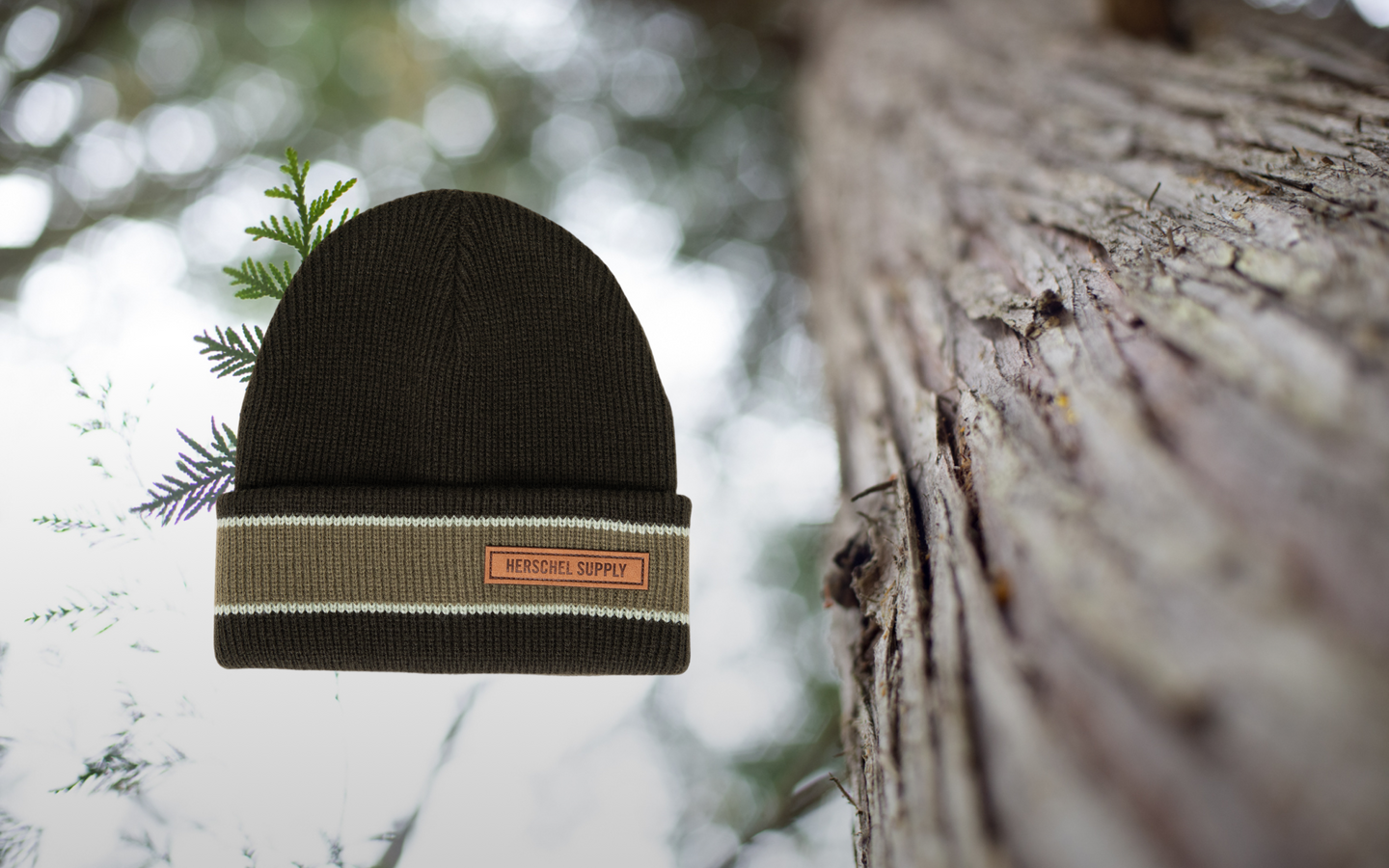 Herschel Supply Co. Elmer Ribbed Vintage Stripe beanie in Rosin green featuring a classic knit design with a jacquard stripe and a brand patch.